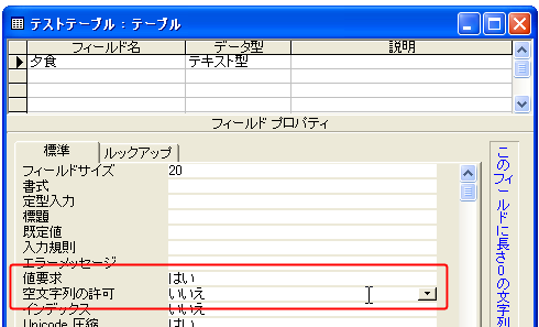 値要求と空文字の許可